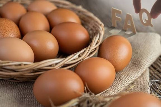 Fresch Bio Eier 30 Stück